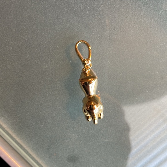 Coach Rexy Charm NWT - Picture 6 of 8